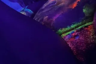 💬ℳℰЅЅᎯᎶℰ ℳℰ ℕᎾᏇ📲 🔞🅂🅃🅁🄾🄺🄴 ʏᵒᵘᴿ🐔ᴄ⭕ᴄᴋ💢𝗔𝗡𝗗 Cͨuͧmͫ4⃣ ᗰᗴ🥜💦💩🏏🆆🅸🅻🅳 😈 ቻяε@ḱᎽ հσε 👋👀👅 - Image 8